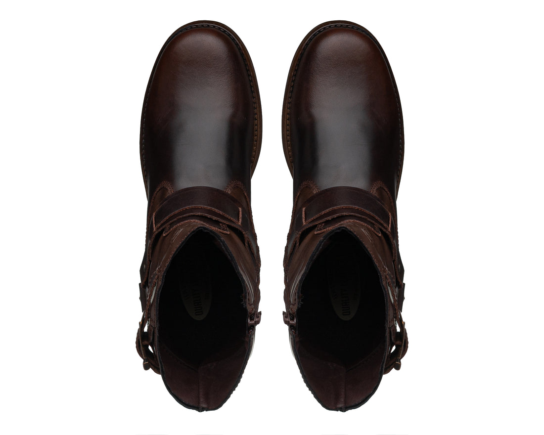 Levi's® Capital L226047 Choco